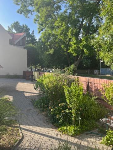 Hajdúszoboszló Dyta2 Apartman מראה חיצוני תמונה